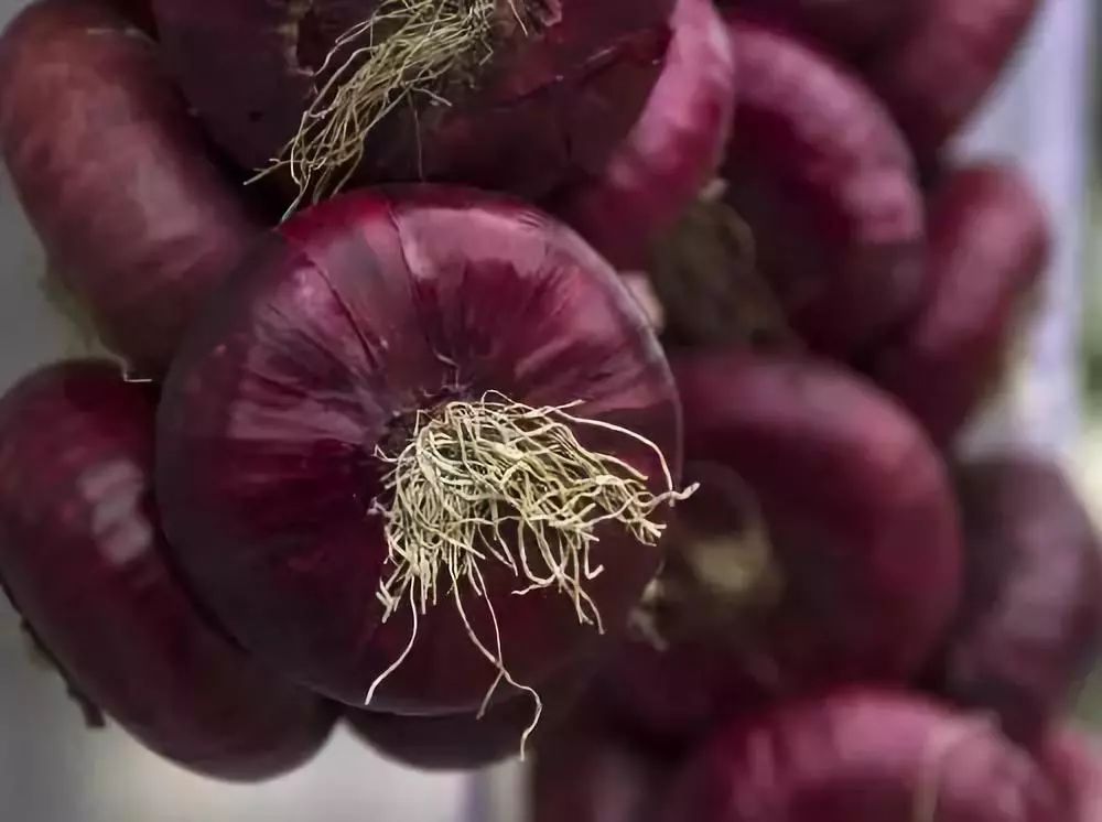 200卢比多少人民币(800卢比=多少人民币)插图4 200卢比多少人民币(800卢比=多少人民币)