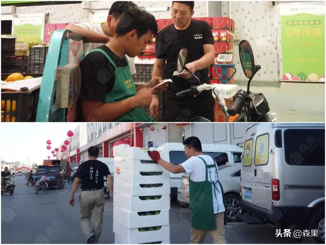 海泉果业官网（山泉果业有限公司）