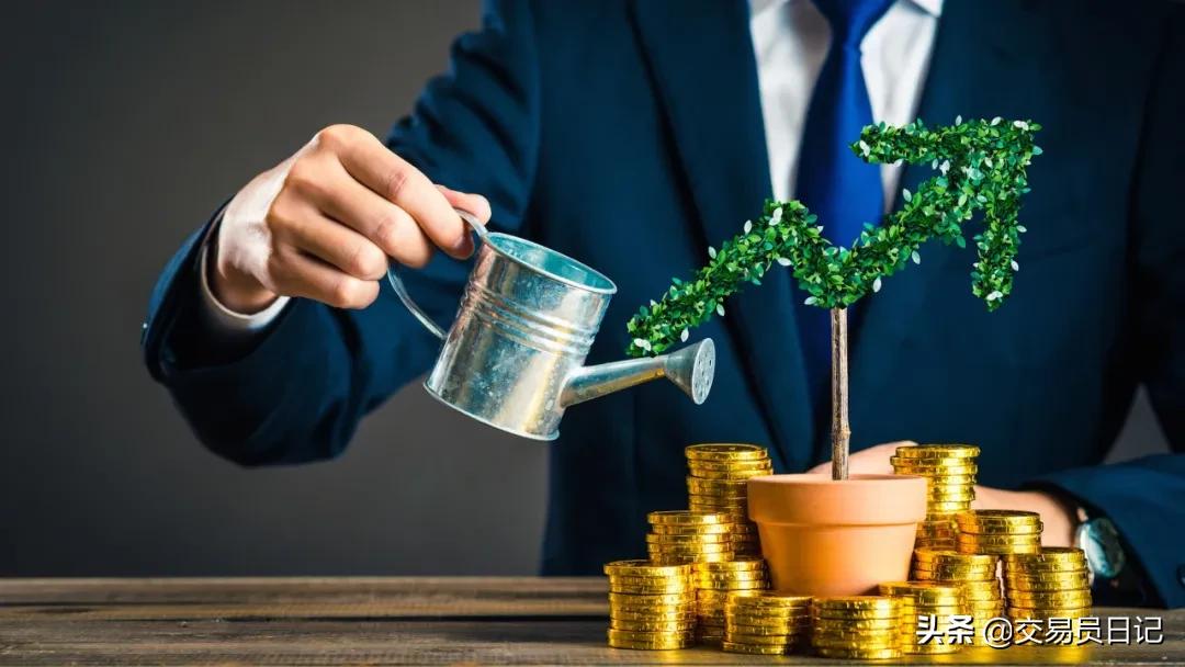 基金是什么投资品种（基金是一种什么样的投资品种）