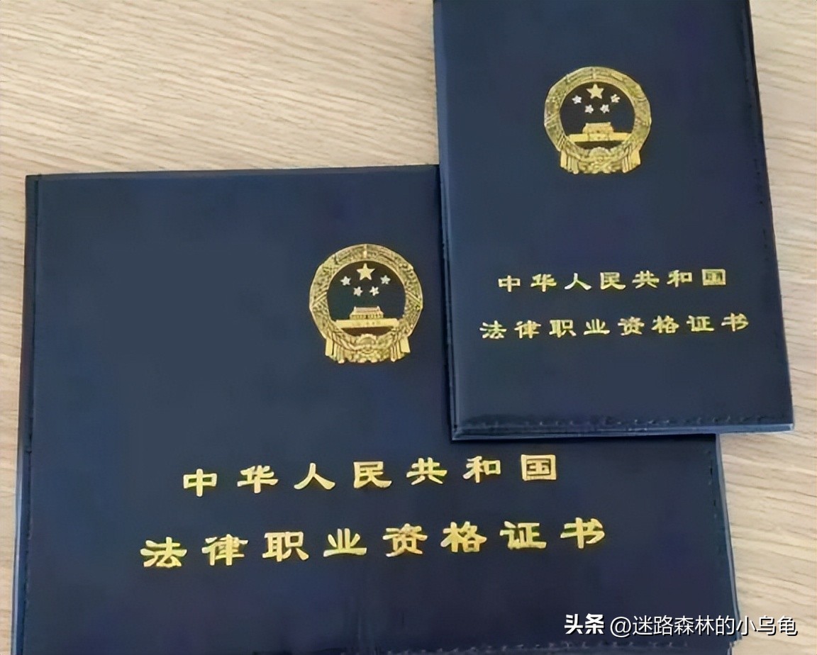 文凭低适合考什么证（没什么文凭考什么证工资最高）