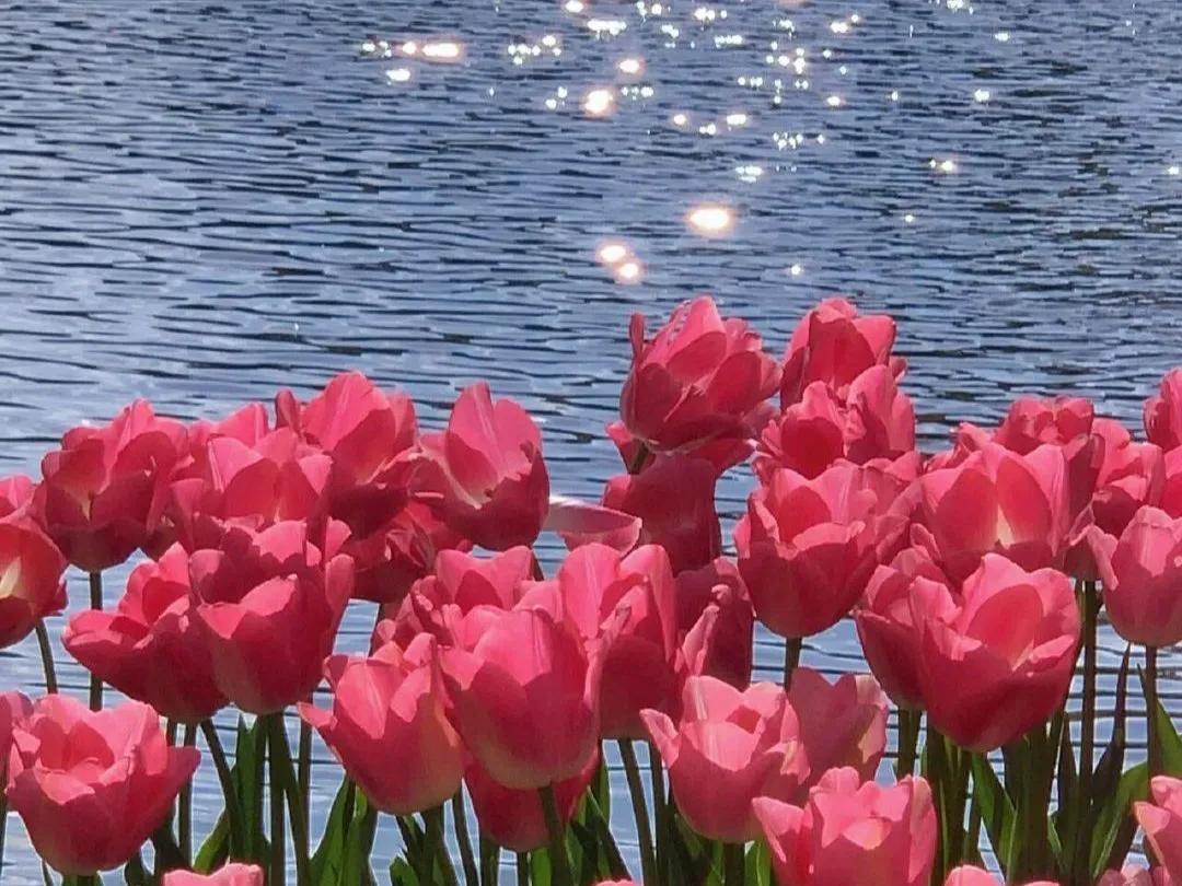 女生如何学会理财（女生怎样学会理财）