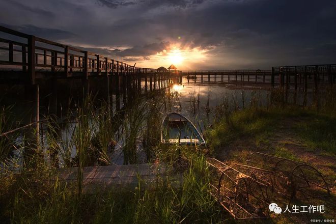 蜜蜂链追根溯源（蜜蜂链追根溯源查假货是北欧国家证书吗）