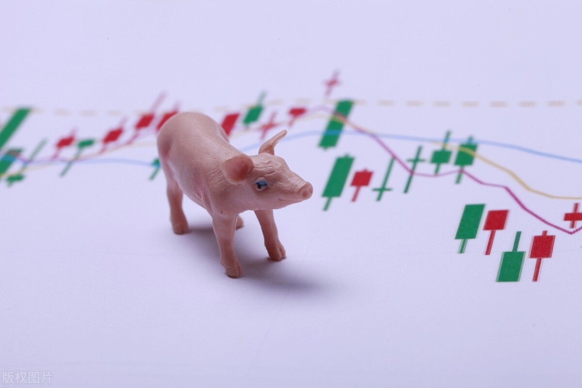 猪肉概念股龙头股一览（a股猪肉概念龙头股）