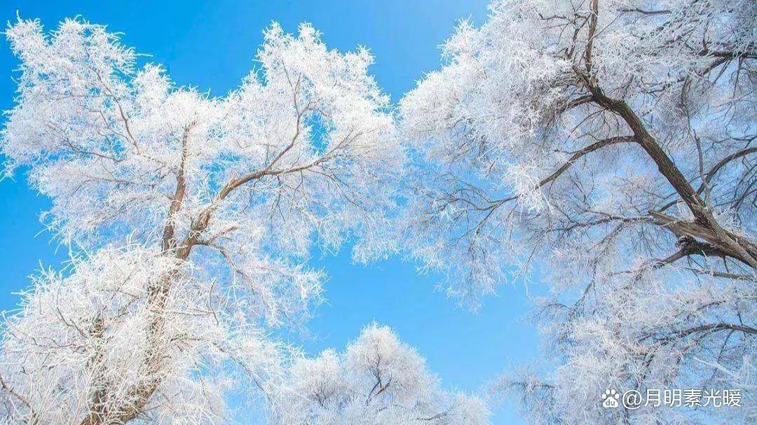 基金投资是什么意思（养老基金投资是什么意思）