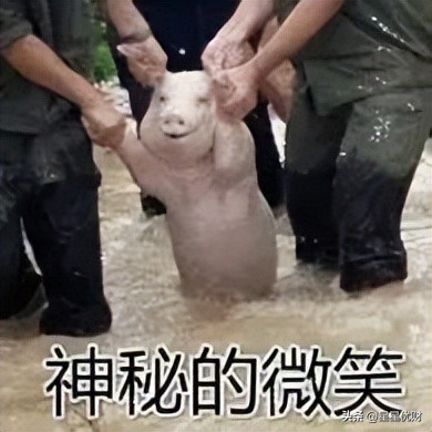 在证券账户里怎样买基金（在证券账户里怎么买基金）