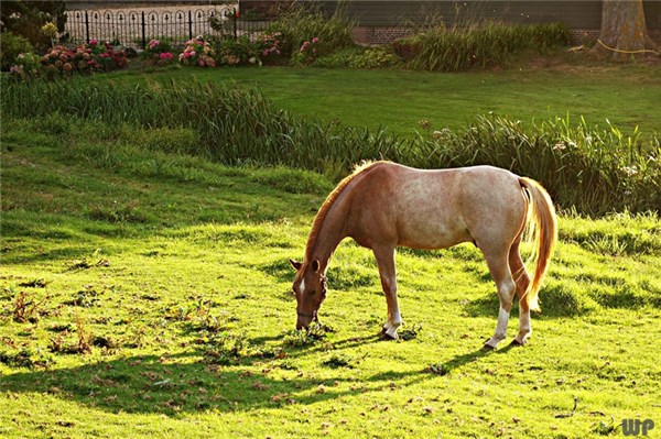蚂蚁财富三分宝玩法(蚂蚁财富三分宝玩法介绍)插图2 蚂蚁财富三分宝玩法(蚂蚁财富三分宝玩法介绍)