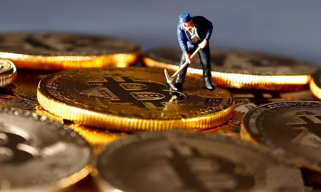 Marange计算机程序狗（Marange计算机程序狗App浏览官方网站）