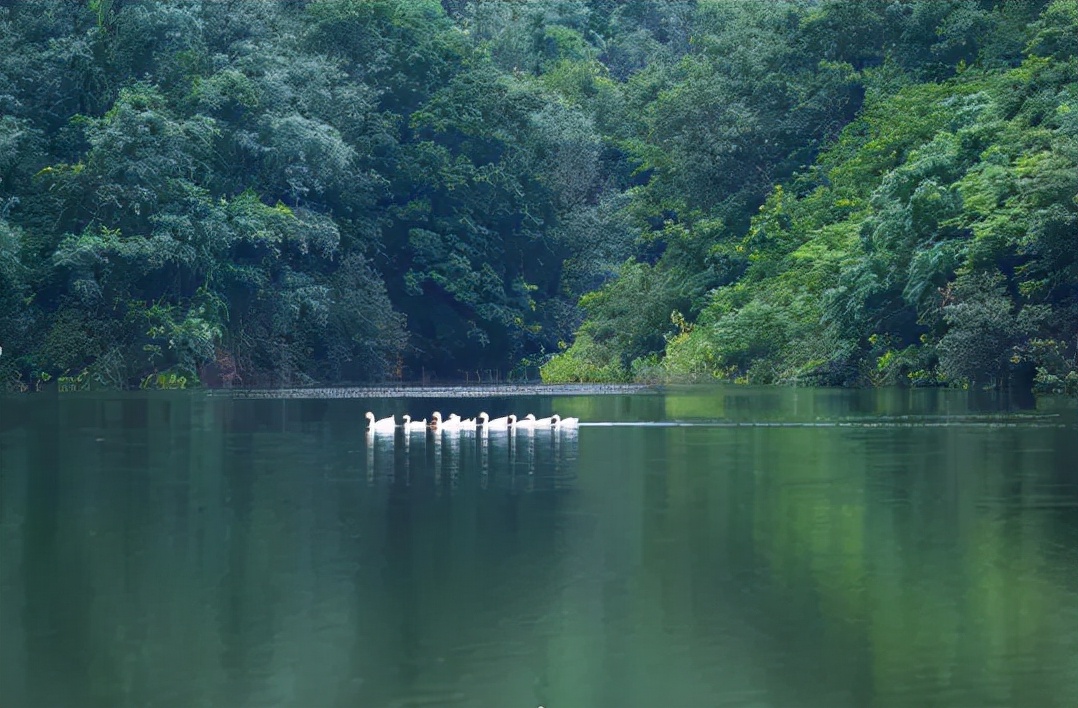 景区的生态果园的作用（生态果园的优势及前景）
