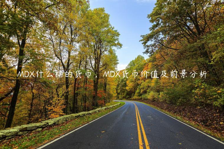 MDX什么样的货币,MDX货币价值及前景分析插图 MDX什么样的货币,MDX货币价值及前景分析