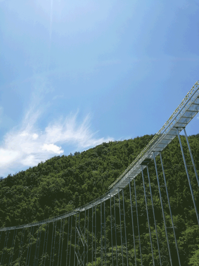 景区的生态果园的作用（生态果园的优势及前景）