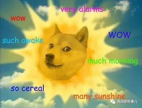 狗狗币每年的价格(2016年狗狗币多少钱)插图3 狗狗币每年的价格(2016年狗狗币多少钱)