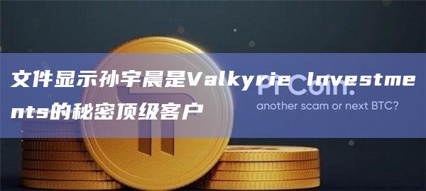文件显示孙宇晨是Valkyrie Investments的秘密顶级客户插图 文件显示孙宇晨是Valkyrie Investments的秘密顶级客户