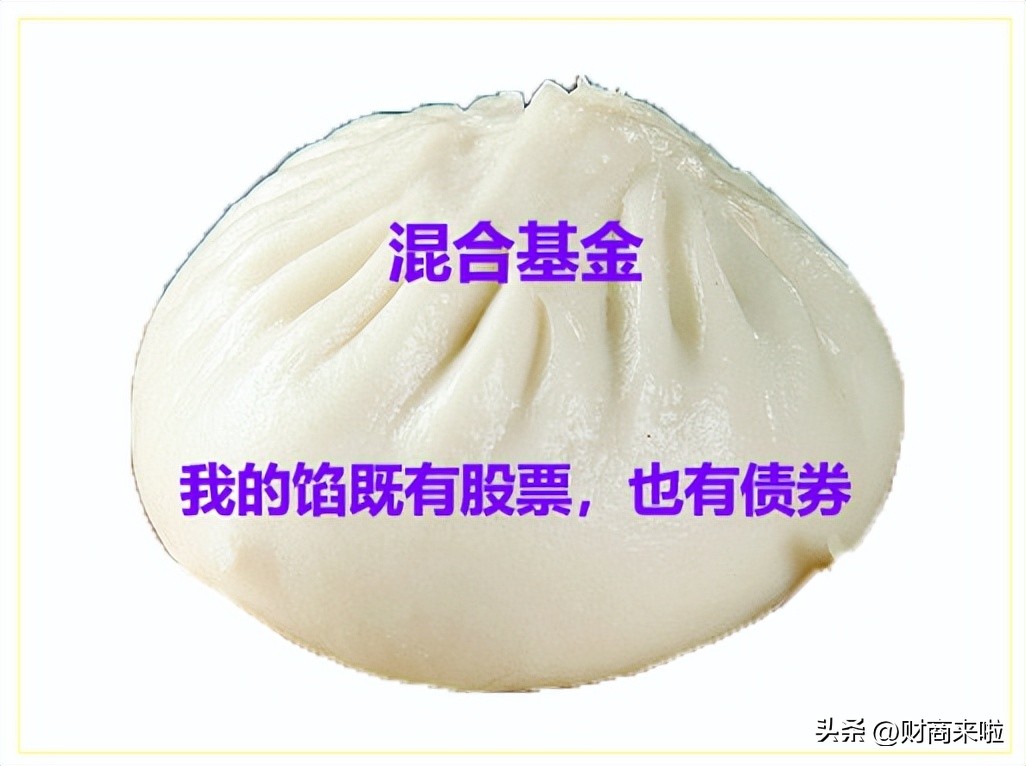 基金具体分类有哪些（基金的分类包括哪些）