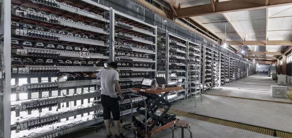 Marange计算机程序狗（Marange计算机程序狗App浏览官方网站）