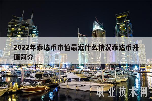 2022年泰达币市值最近什么情况泰达币升值简介插图 2022年泰达币市值最近什么情况泰达币升值简介