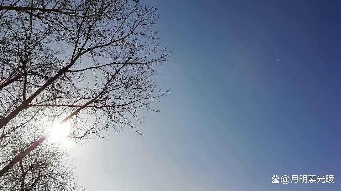 基金投资是什么意思（养老基金投资是什么意思）