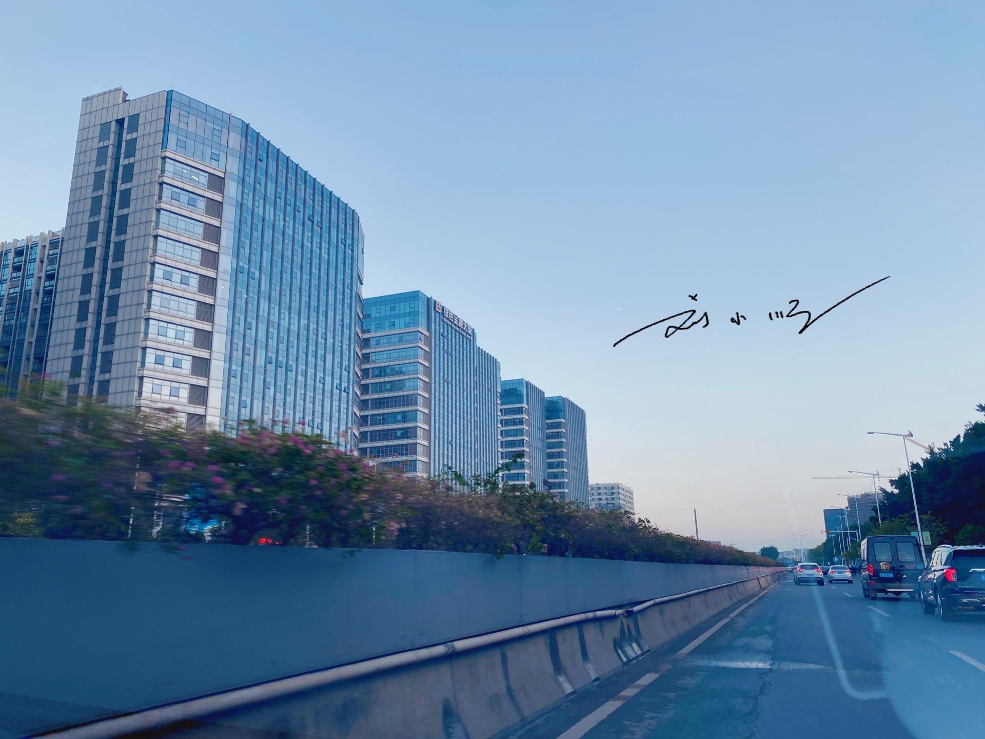 广州市分几个区（广州市分几个区分布图）