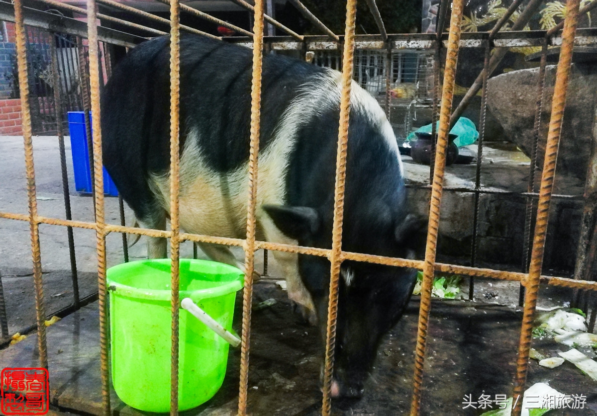 泉源生态农庄（绿源生态农庄）