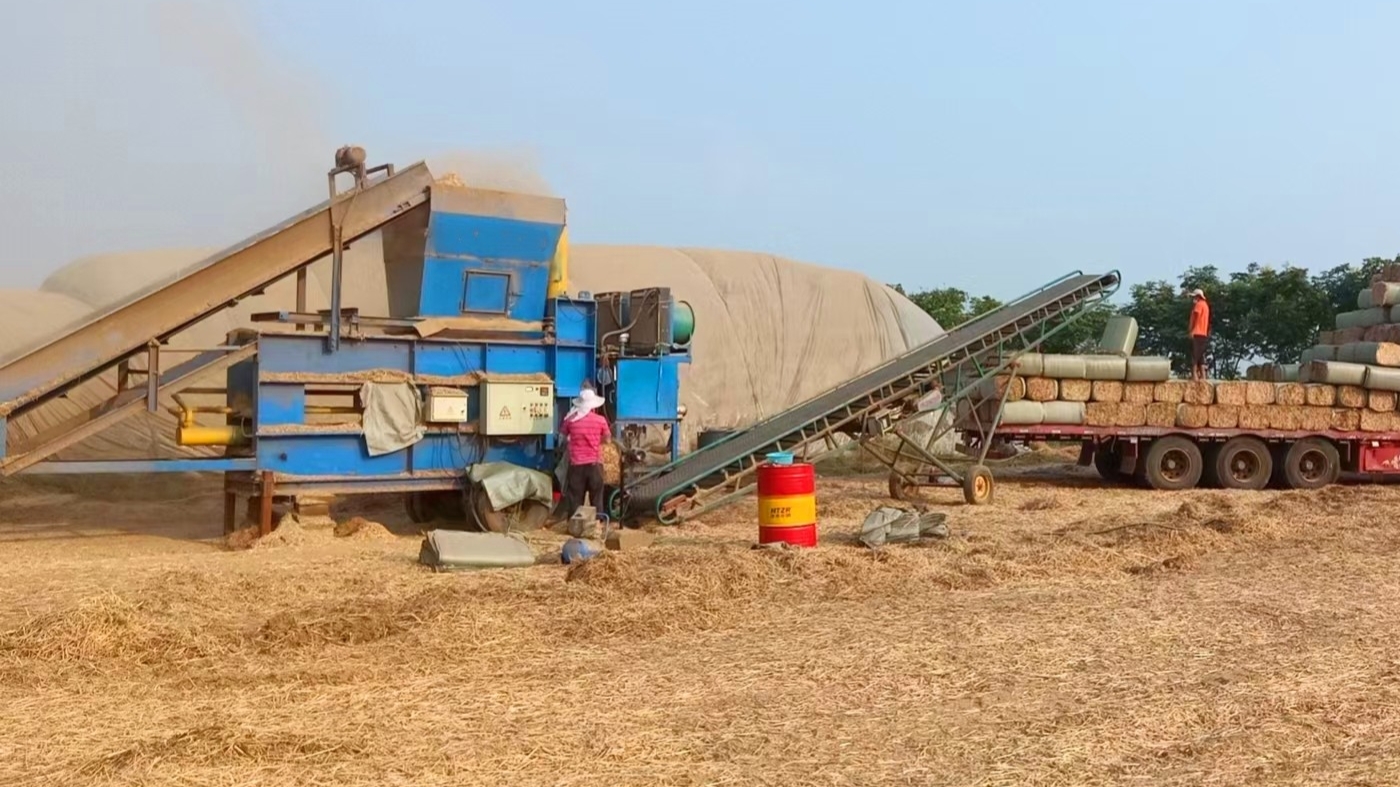 一年四季不愁销路的生意（一年四季无淡季的生意）