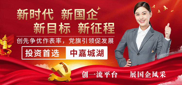 国企正规投资app平台（国资投资平台）