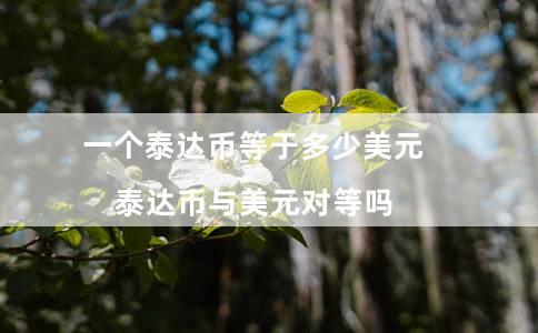 一个泰达币等于多少美元(泰达币与美元对等吗)插图 一个泰达币等于多少美元(泰达币与美元对等吗)