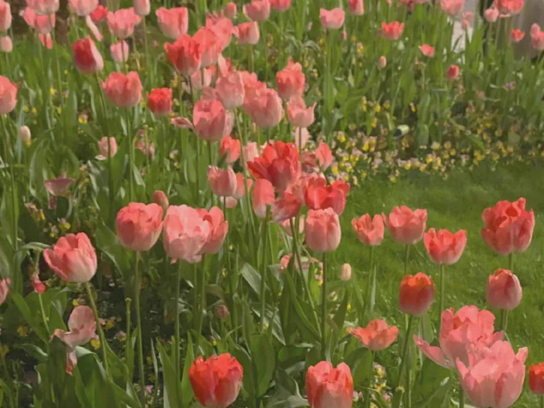 女生如何学会理财（女生怎样学会理财）