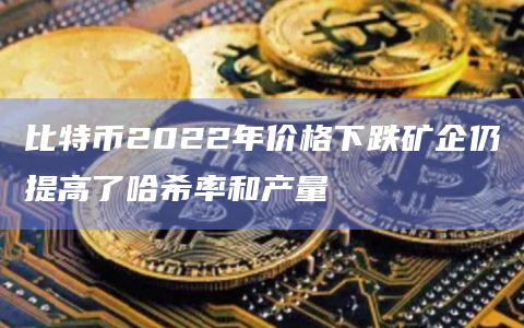比特币2022年价格下跌矿企仍提高了哈希率和产量插图 比特币2022年价格下跌矿企仍提高了哈希率和产量