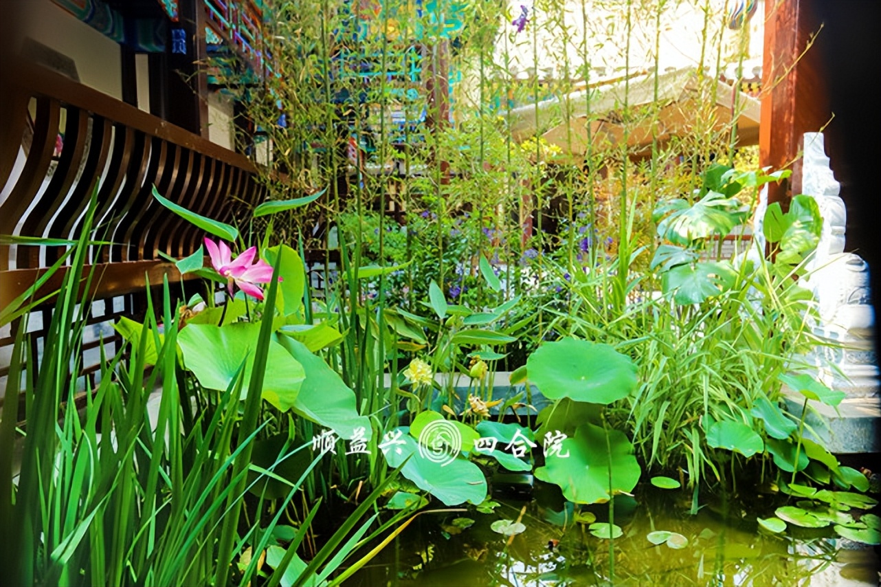 四合院多少钱（农村建一套四合院多少钱）