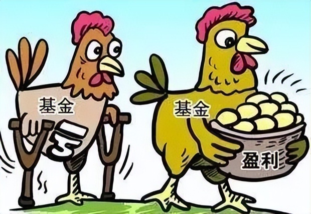 热门基金排行榜前十名有哪些（排名前十的基金）