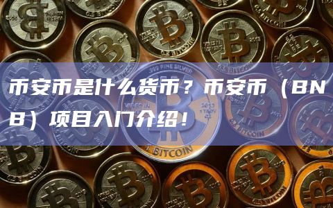 币安币是什么货币?币安币(BNB)项目入门介绍!插图 币安币是什么货币?币安币(BNB)项目入门介绍!