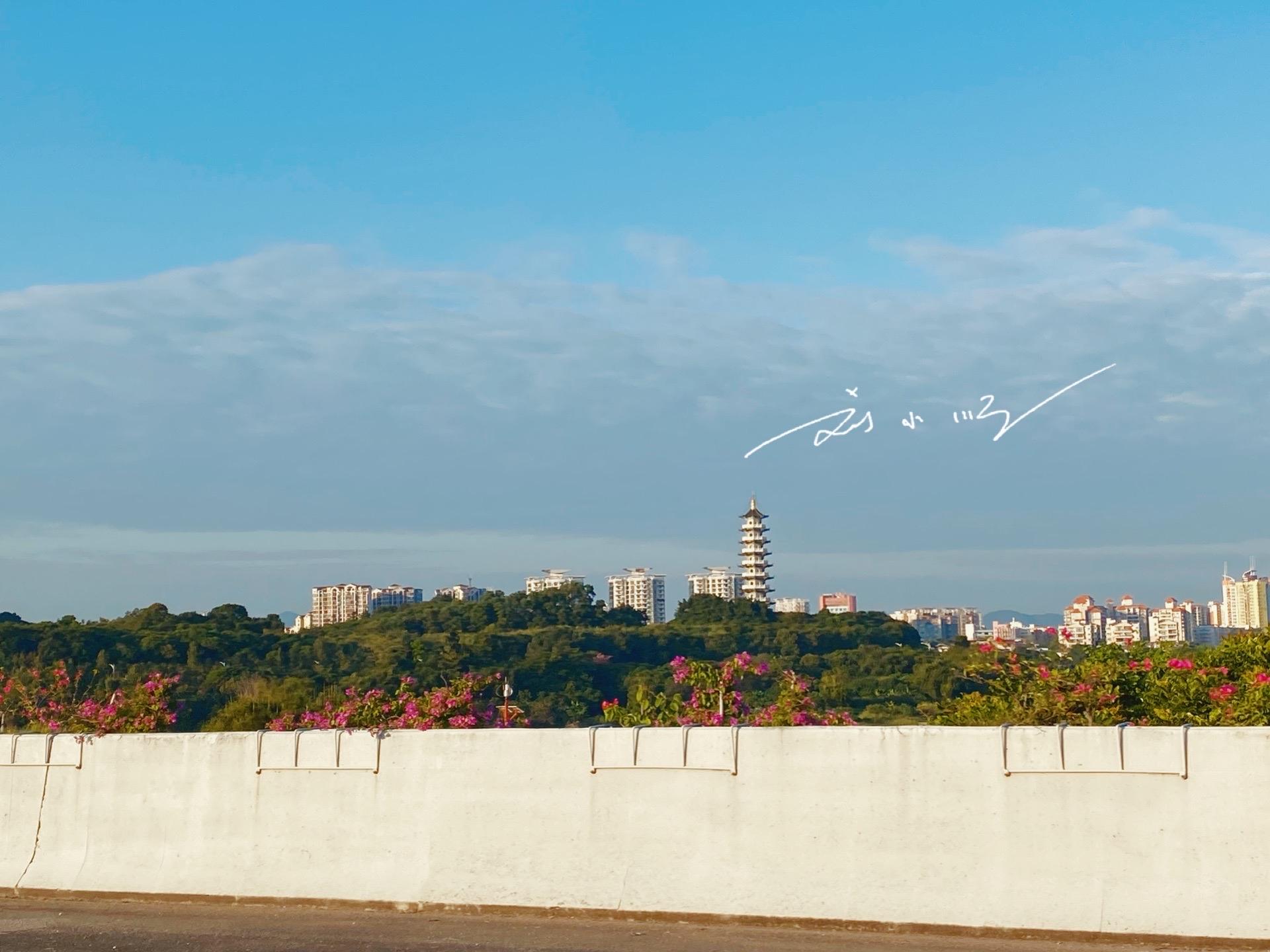 广州市分几个区（广州市分几个区分布图）