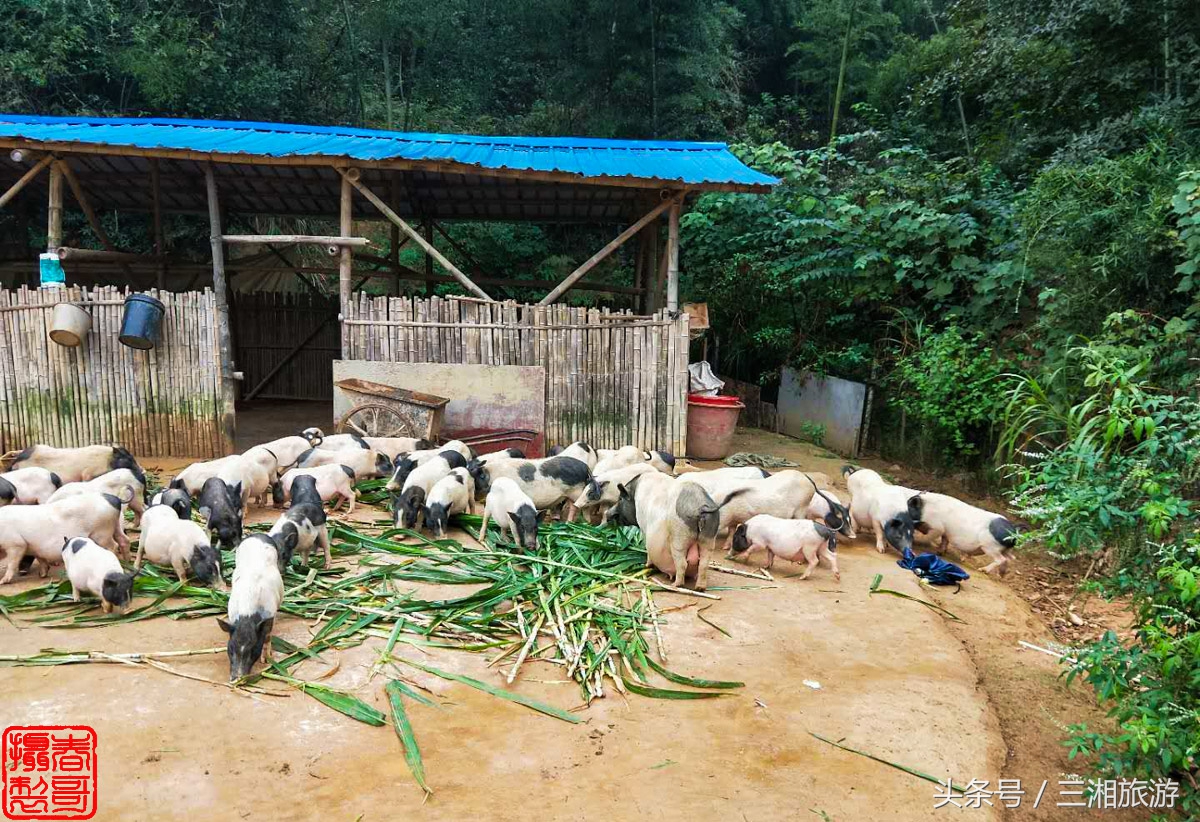 泉源生态农庄（绿源生态农庄）
