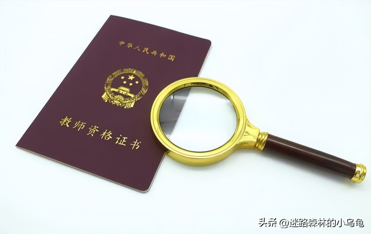 文凭低适合考什么证（没什么文凭考什么证工资最高）