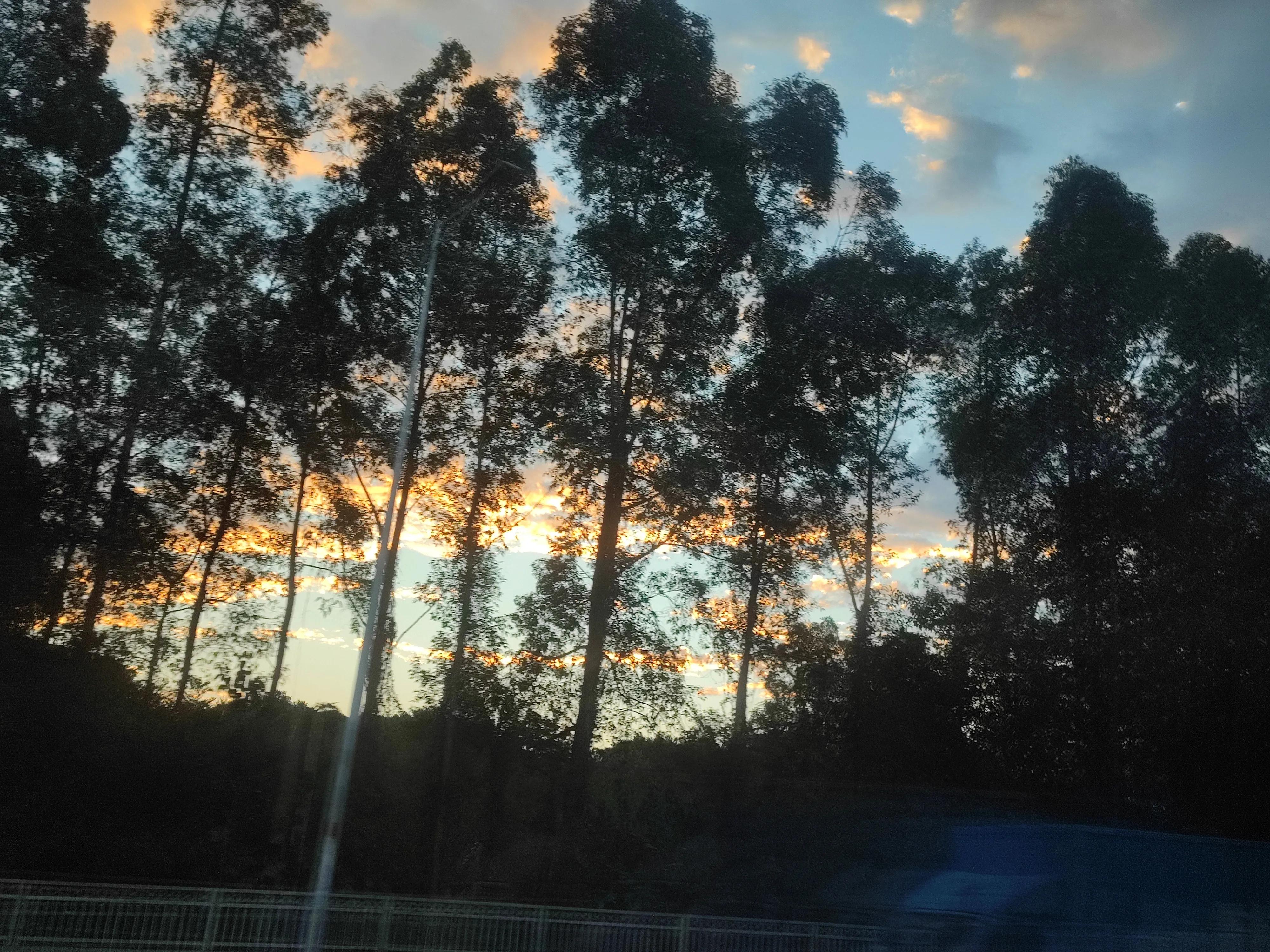 女人怎样学理财（女人如何学会理财）