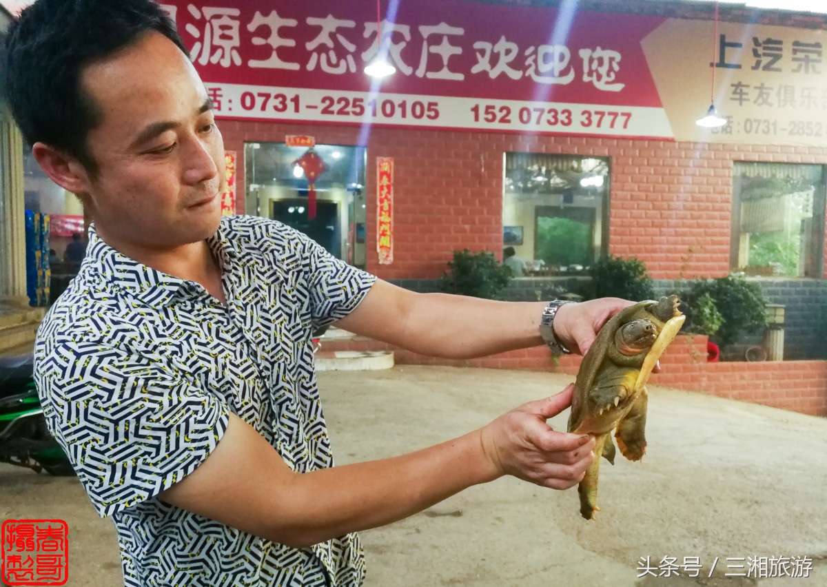 泉源生态农庄（绿源生态农庄）