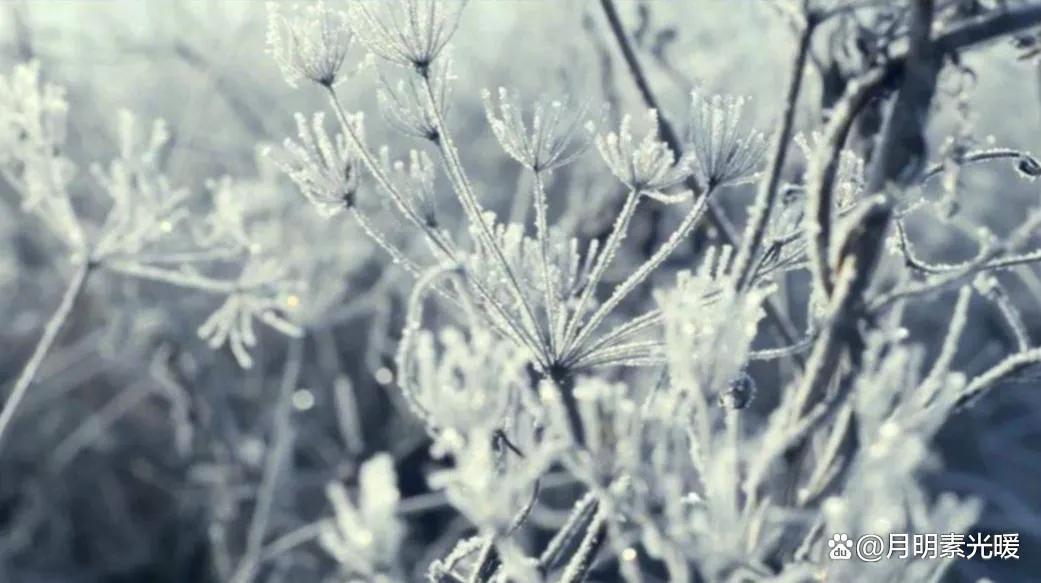 基金投资是什么意思（养老基金投资是什么意思）