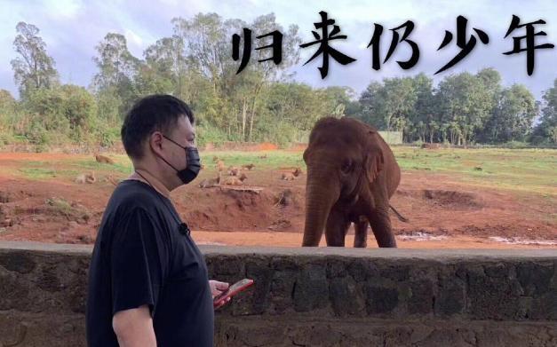 大象传媒软件下载（大象传媒软件下载苹果版）