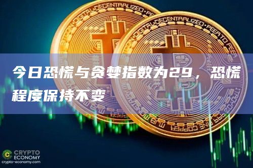 今日恐慌与贪婪指数为29，恐慌程度保持不变