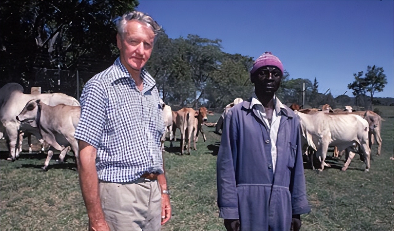 津巴布韦汇率对人民币（津巴布韦汇率人民币多少）