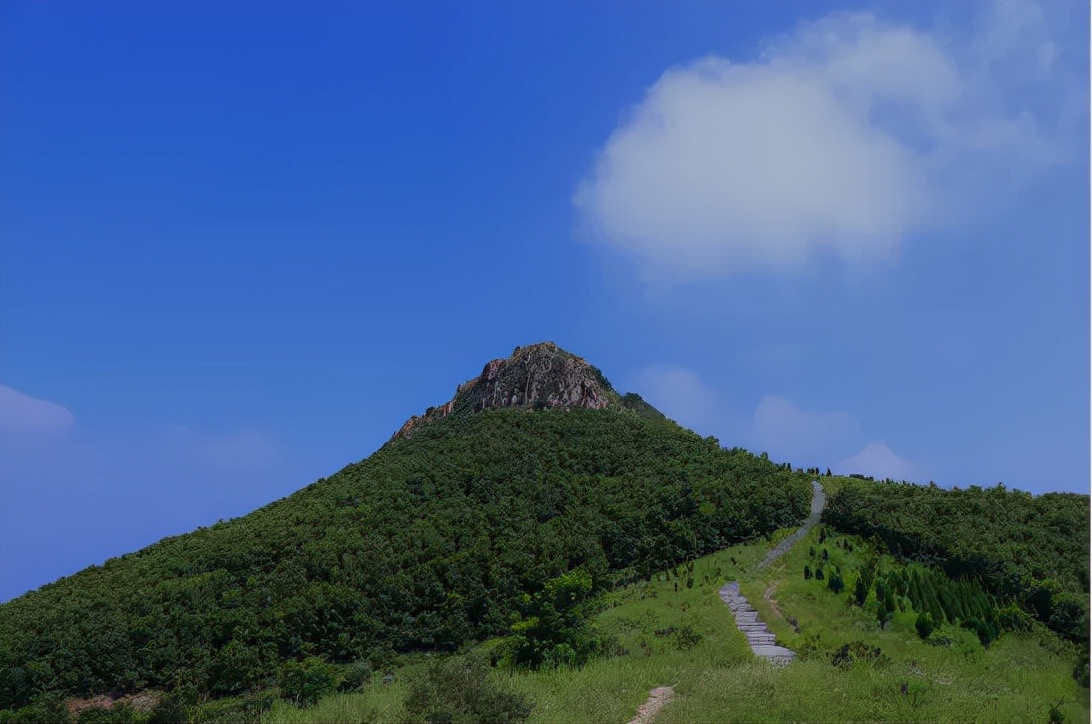 景区的生态果园的作用（生态果园的优势及前景）