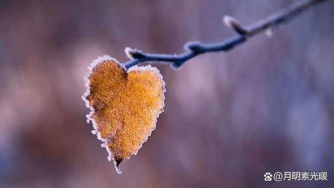 基金投资是什么意思（养老基金投资是什么意思）