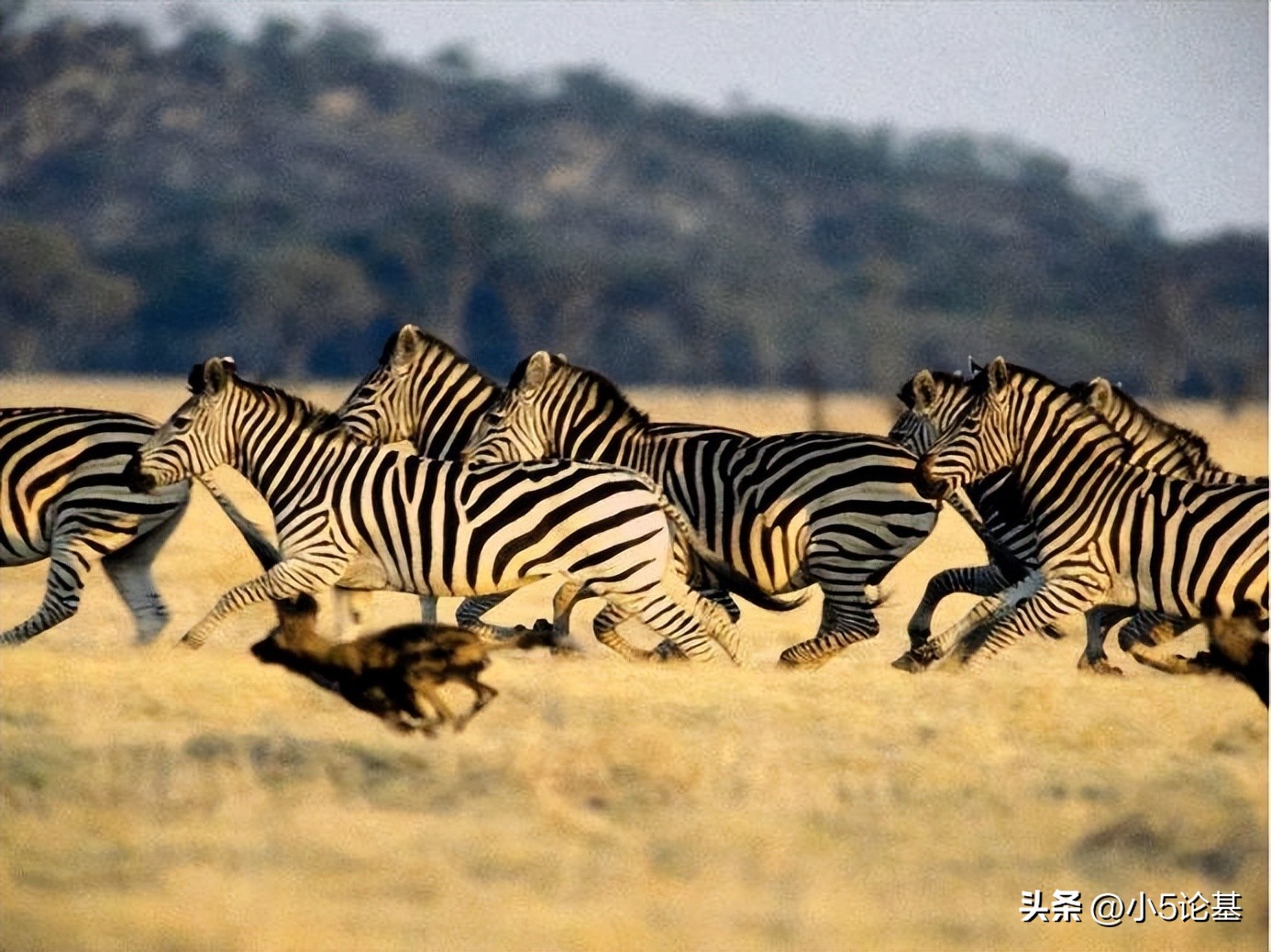 学什么专业能做基金经理（想做基金经理需要什么学历）