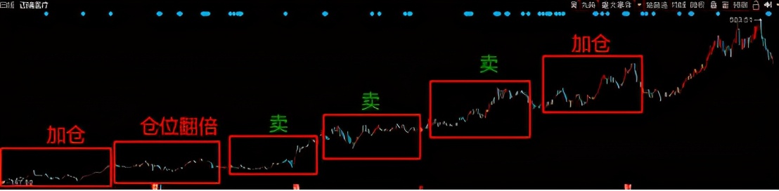 十大基金经理排名（十大基金经理排名最新）