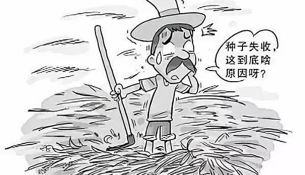 玉米传媒官方网站（玉米文化传媒有限公司）