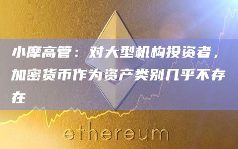 小摩高管:对大型机构投资者,加密货币作为资产类别几乎不存在插图 小摩高管:对大型机构投资者,加密货币作为资产类别几乎不存在