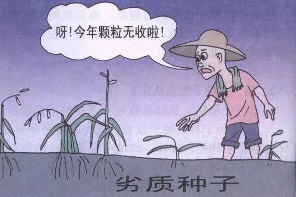 玉米传媒官方网站（玉米文化传媒有限公司）