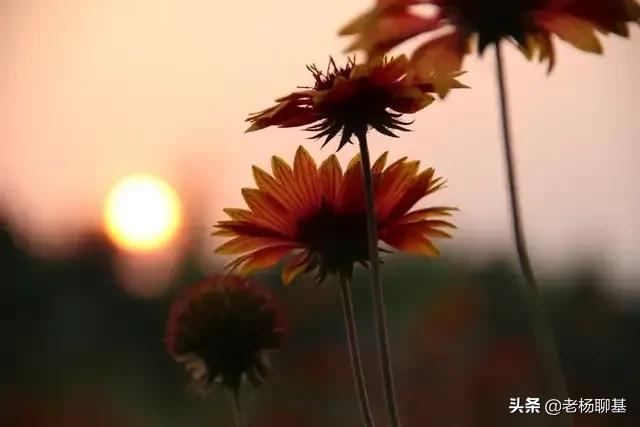 怎样玩好基金（怎样玩基金视频入门）