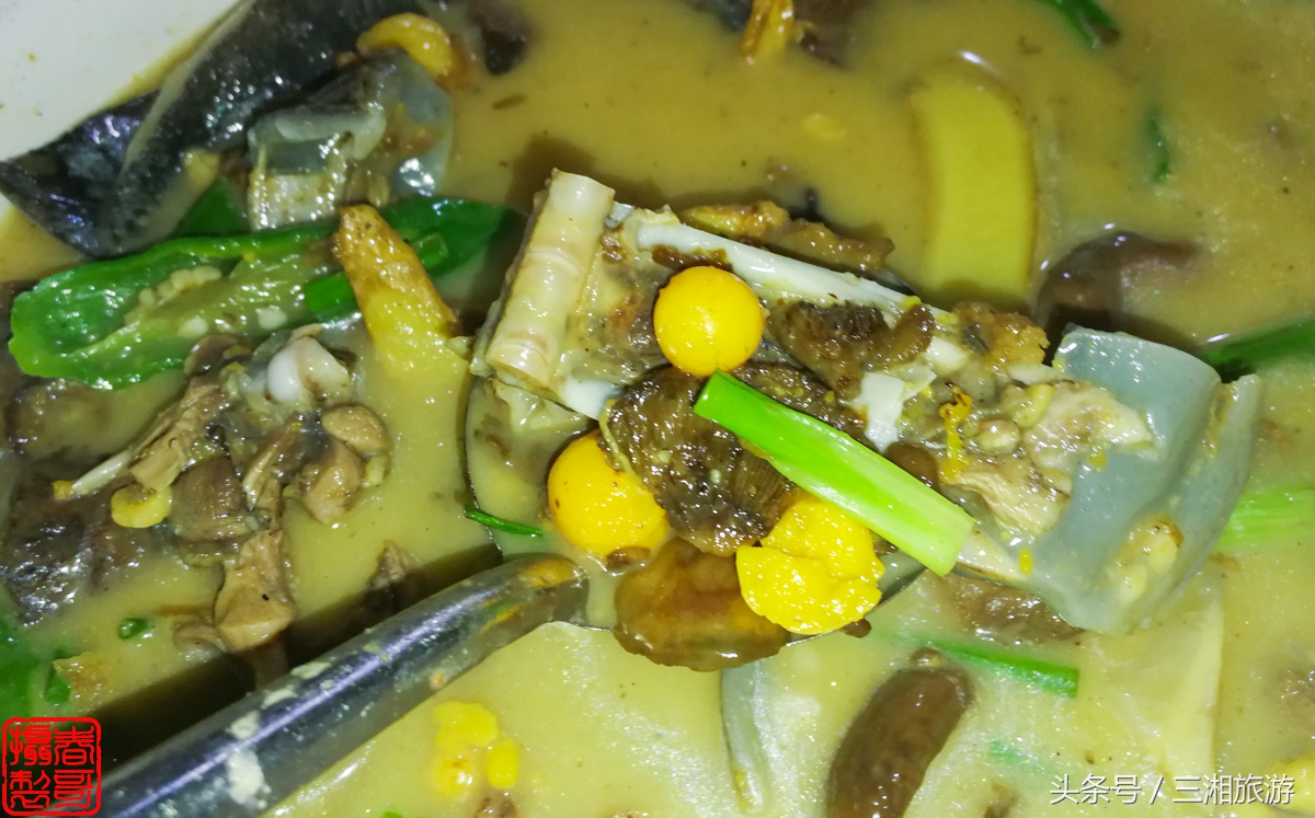 泉源生态农庄（绿源生态农庄）