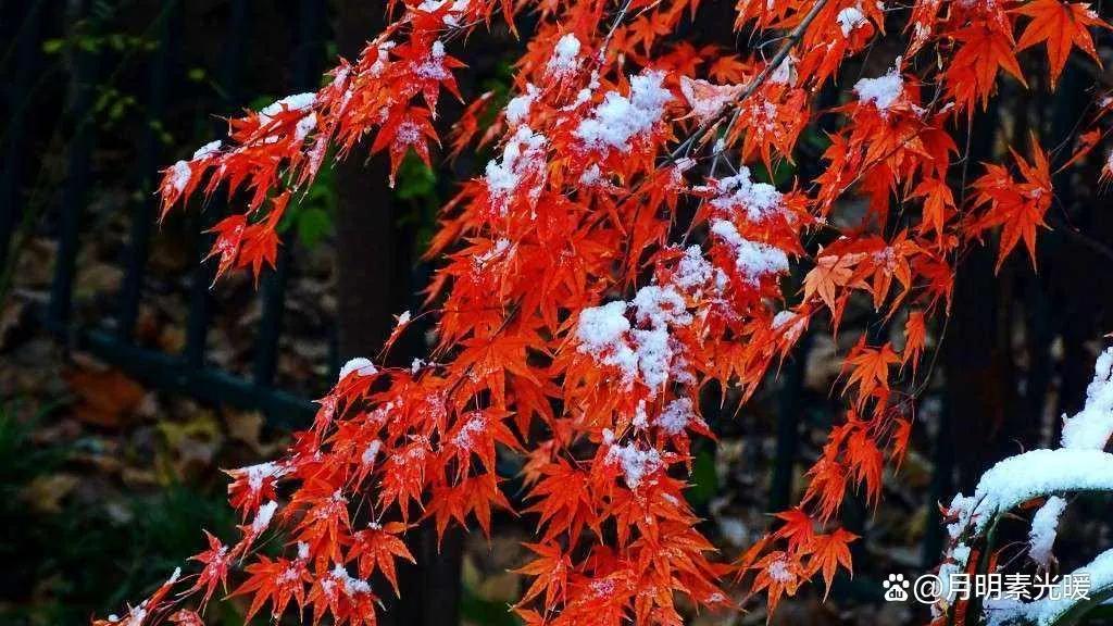 基金投资是什么意思（养老基金投资是什么意思）