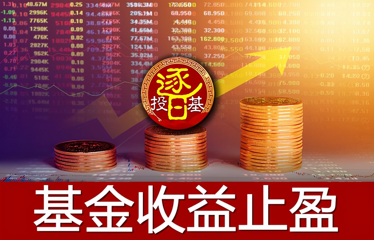 怎么靠基金理财赚钱（基金理财能赚多少）